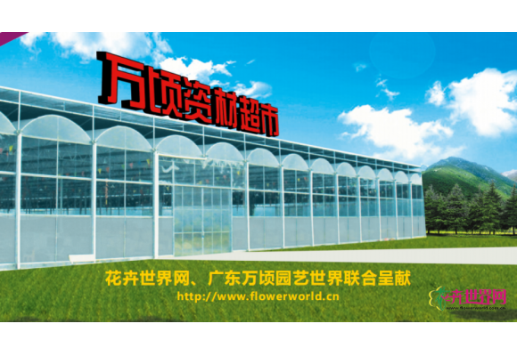 [猴年放大价] 万顷资材超市1月21日开张试业当天优惠促销猴赛雷！约上小伙伴来买买买！