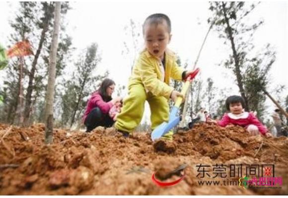 广东：家长组车队来植树 两岁孩子也上阵
