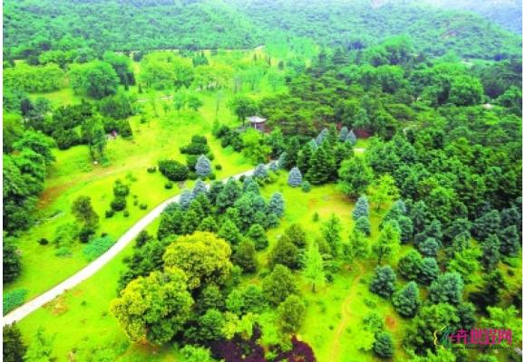 北京：80个新品种植物上岗营造城市景观