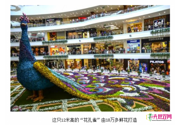 哥伦比亚:18万多鲜花织就高大“孔雀” 迎“鲜花节” 哥伦比亚:18万多鲜花织就高大“孔雀” 迎“鲜花节”