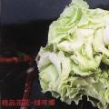 八月桂